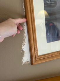 Painted around the pictures. 🤦🏻♀️