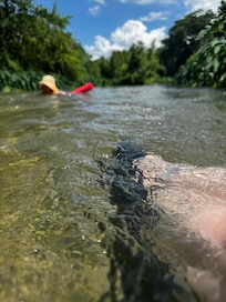 Down in the river