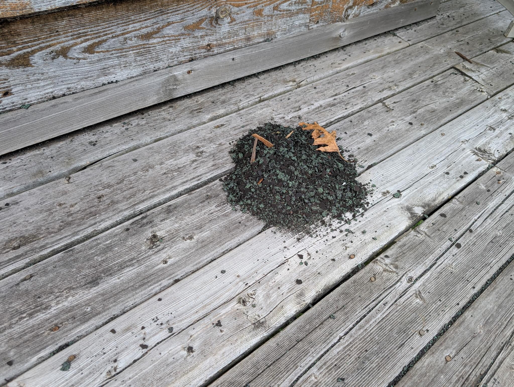 roof debris we swept up on the deck