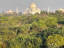 View from my room