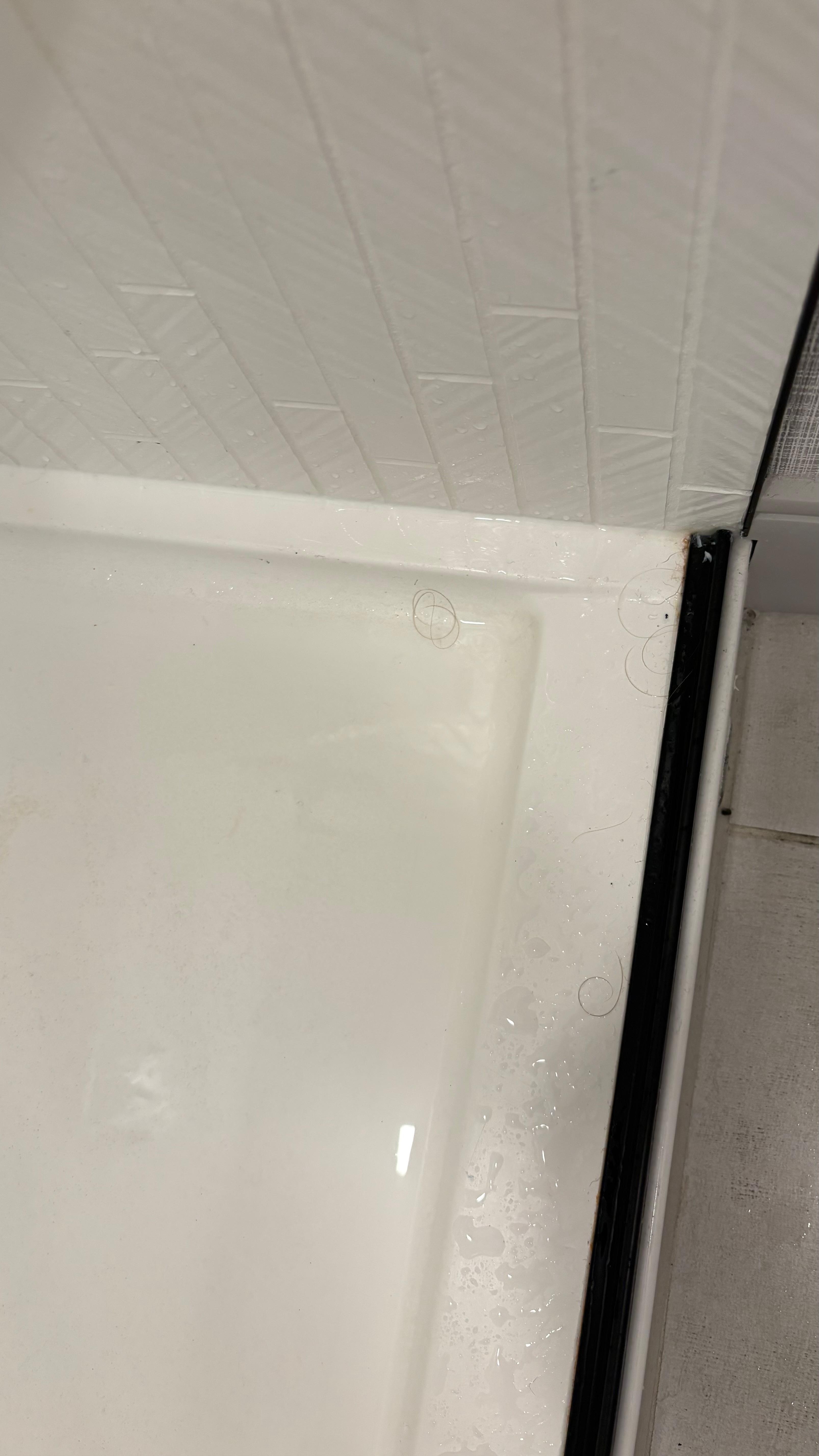 Hair  in shower , prior to us using the shower 