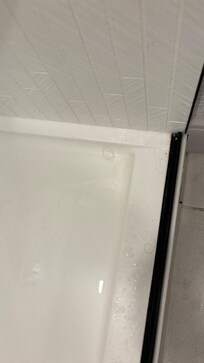 Hair in shower , prior to us using the shower