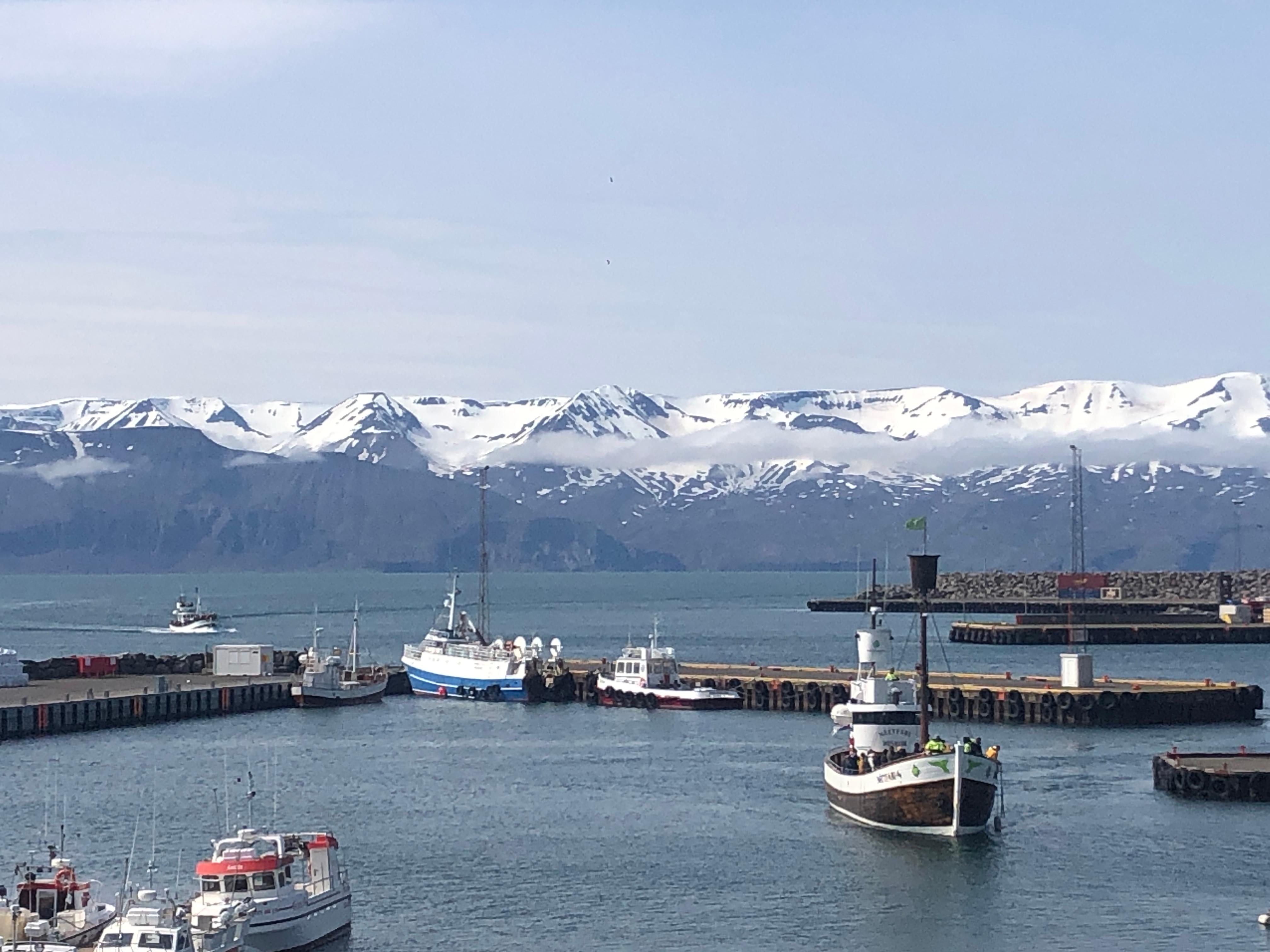 Husavik havn