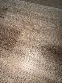 Crack in floor by kitchen.