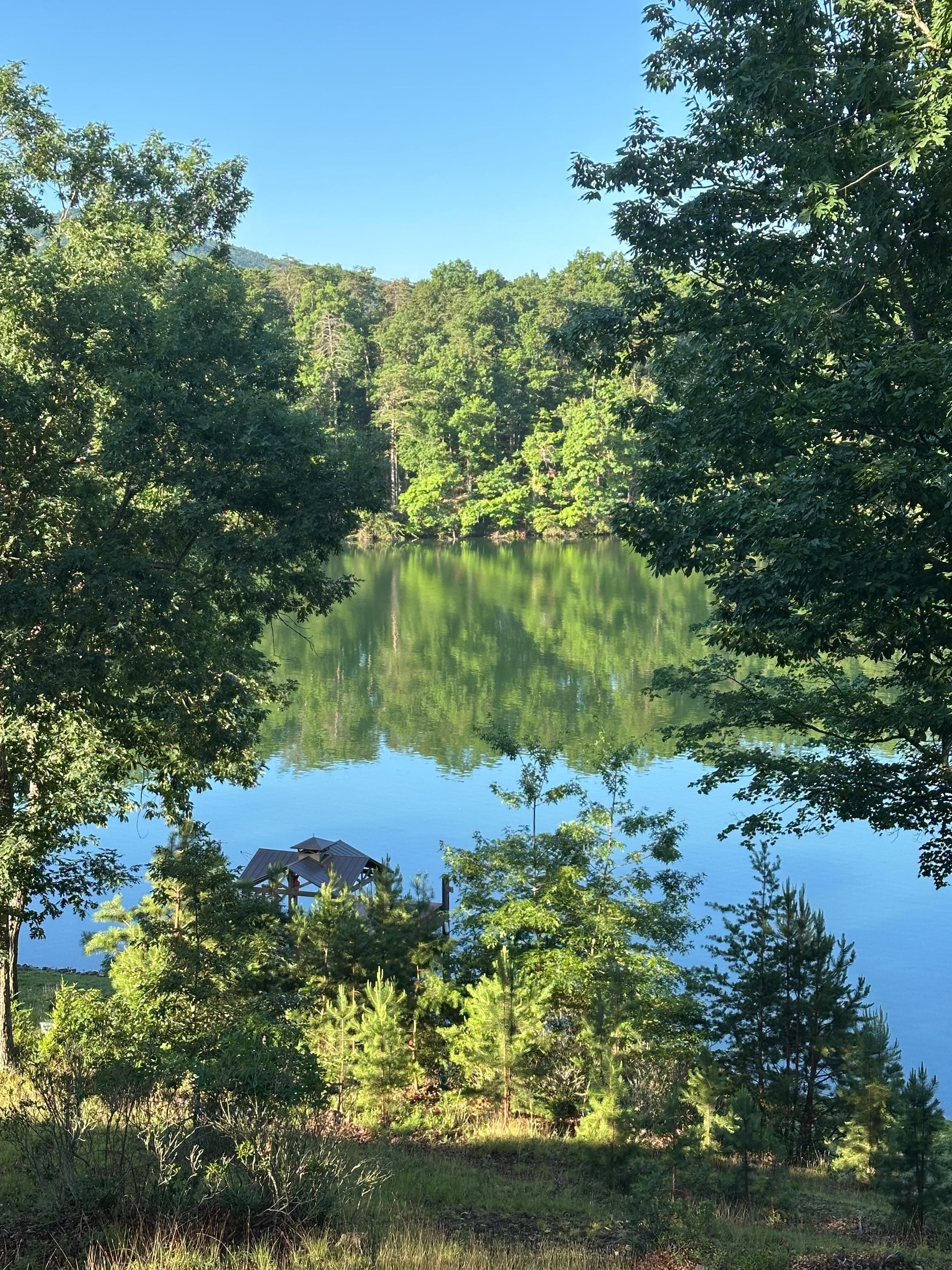 View from the cabin 