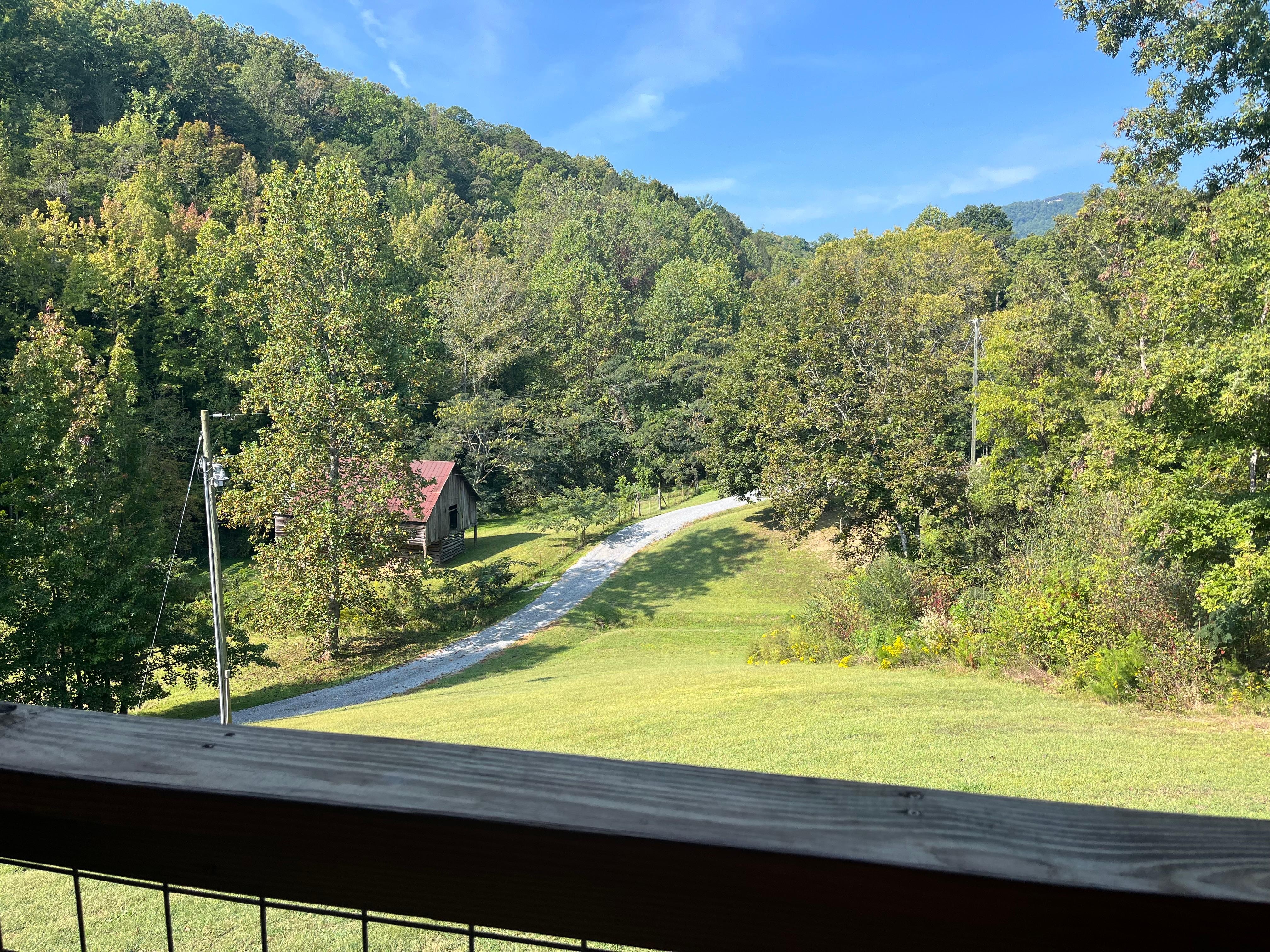 View of the front lawn