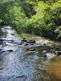 From the bridge view of creek