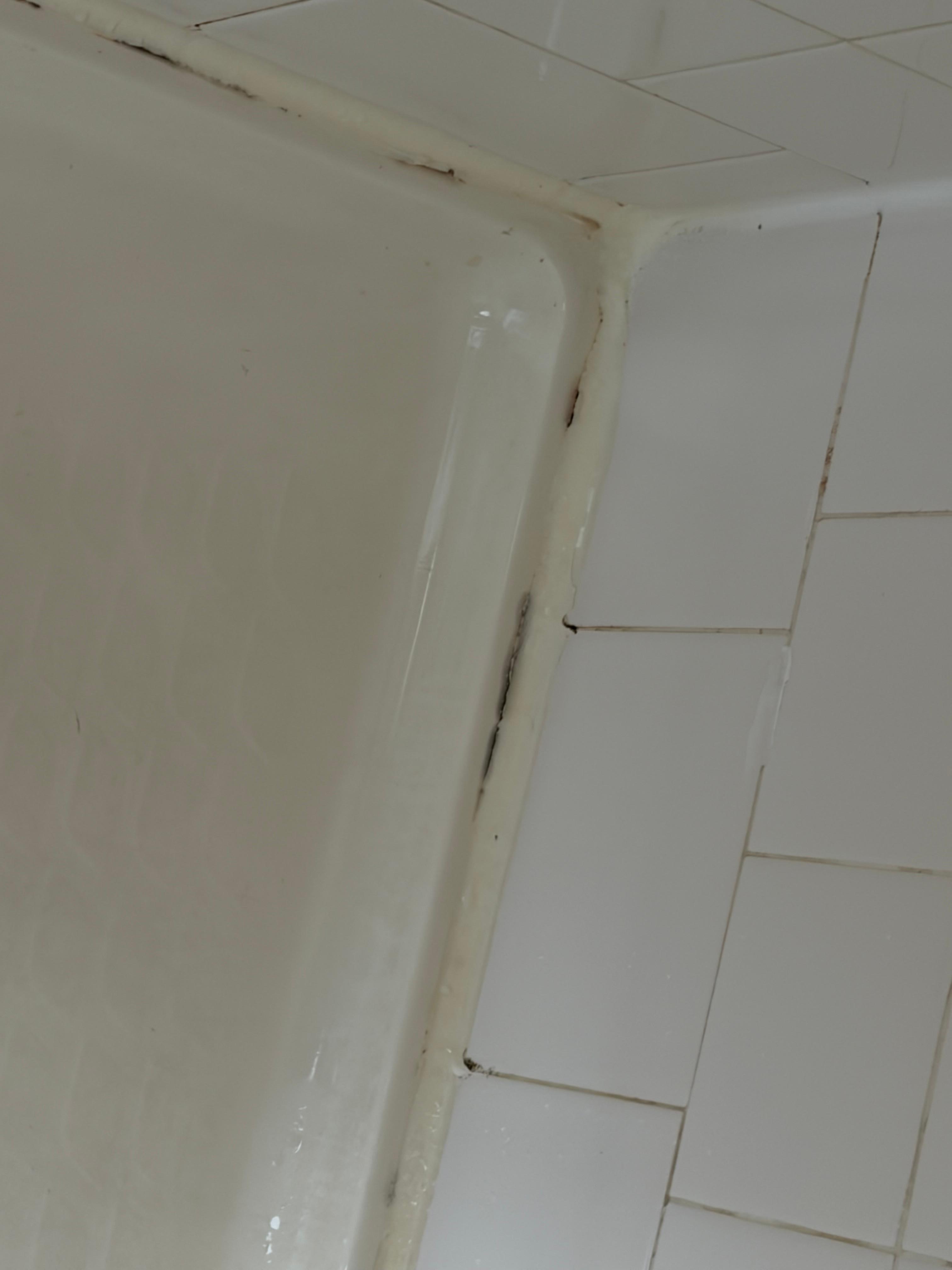 Mold in shower