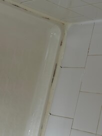 Mold in shower