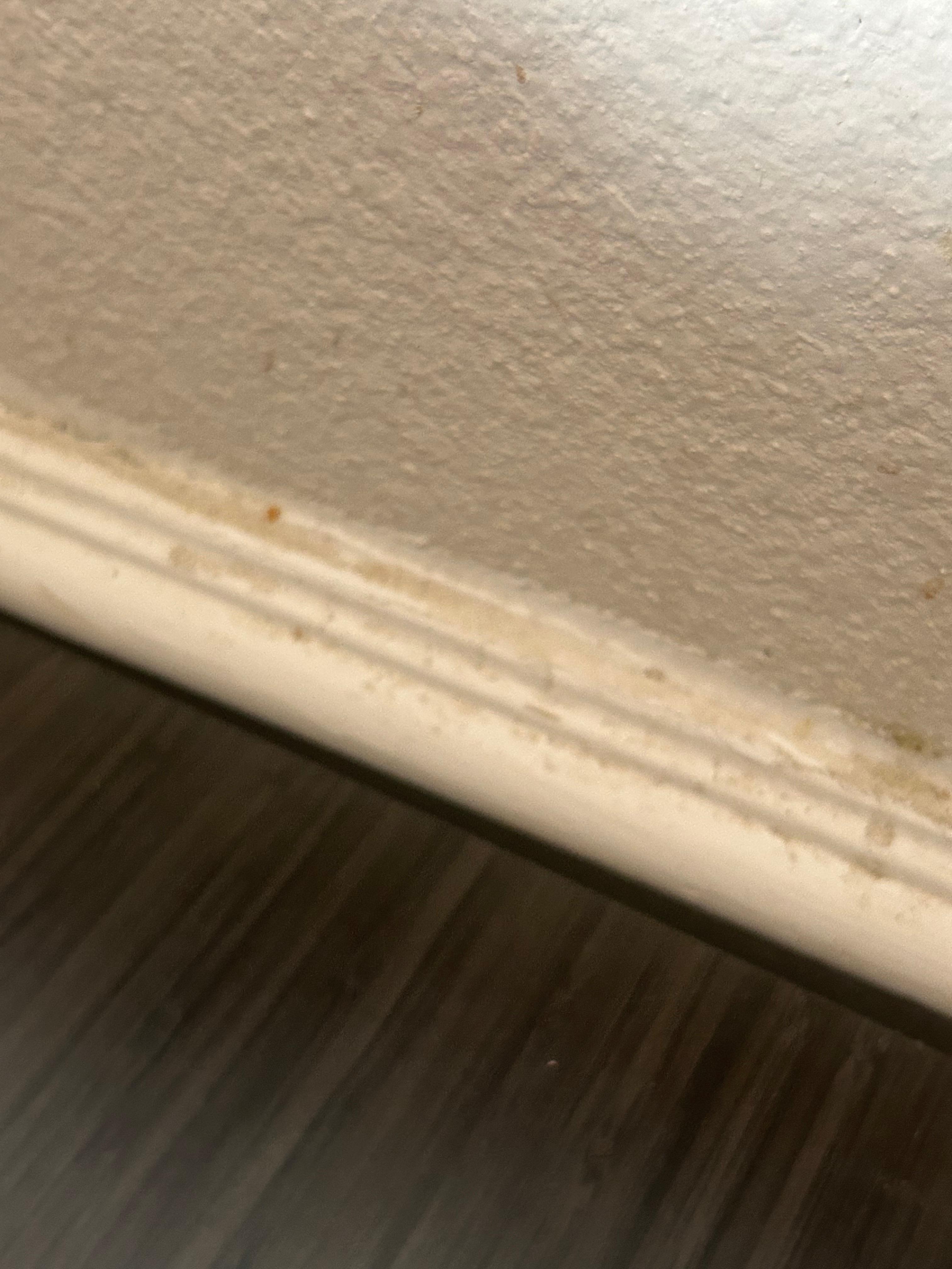 Along top of table rail in room