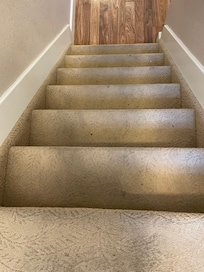 Filthy carpeting