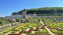 Chateaux Villandry and its astounding garden. One of many in the area!