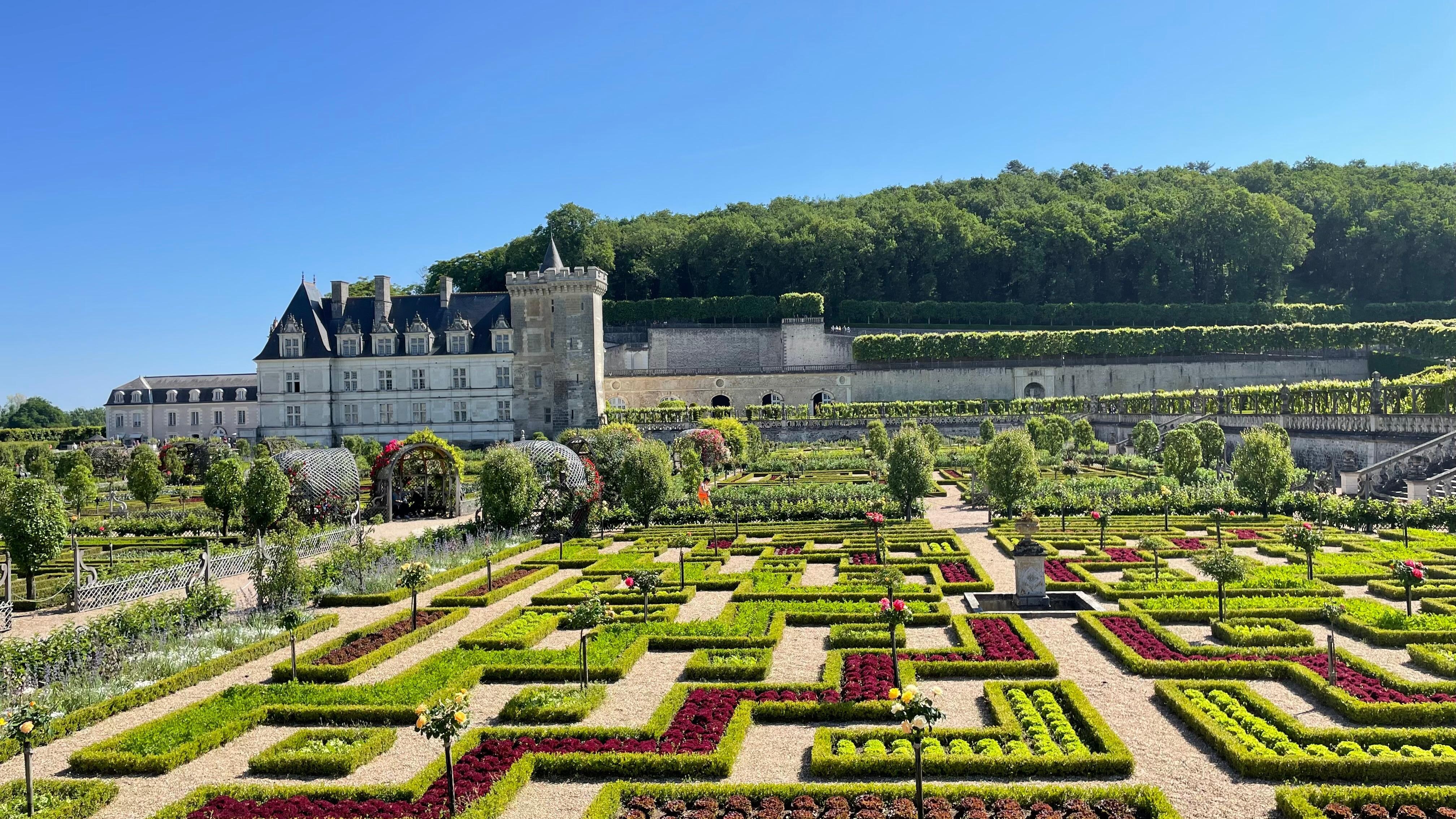Chateaux Villandry and its astounding garden. One of many in the area!
