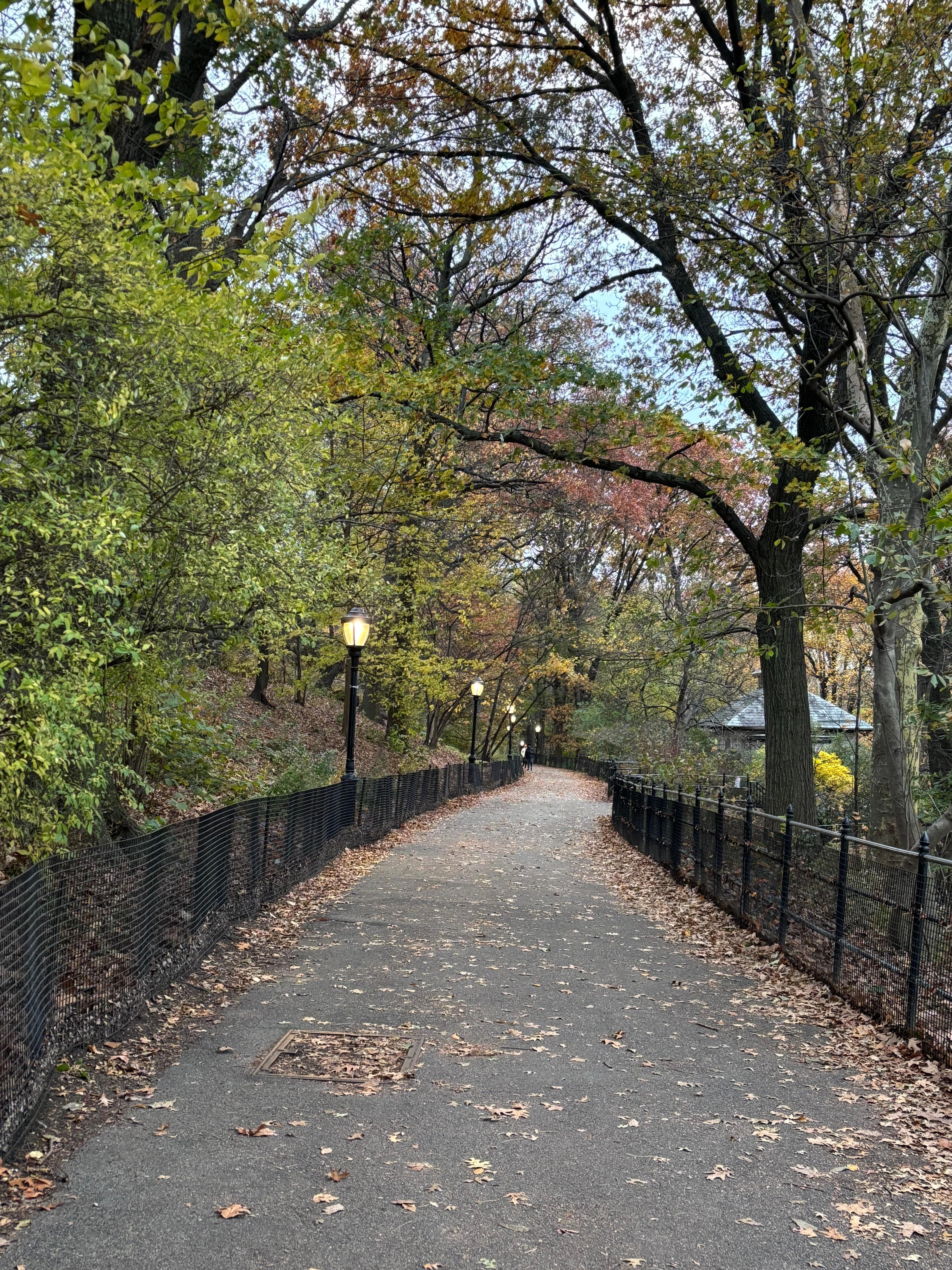 Beautiful fall colors all around Central Park !! 