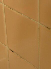 Check out the black mold.