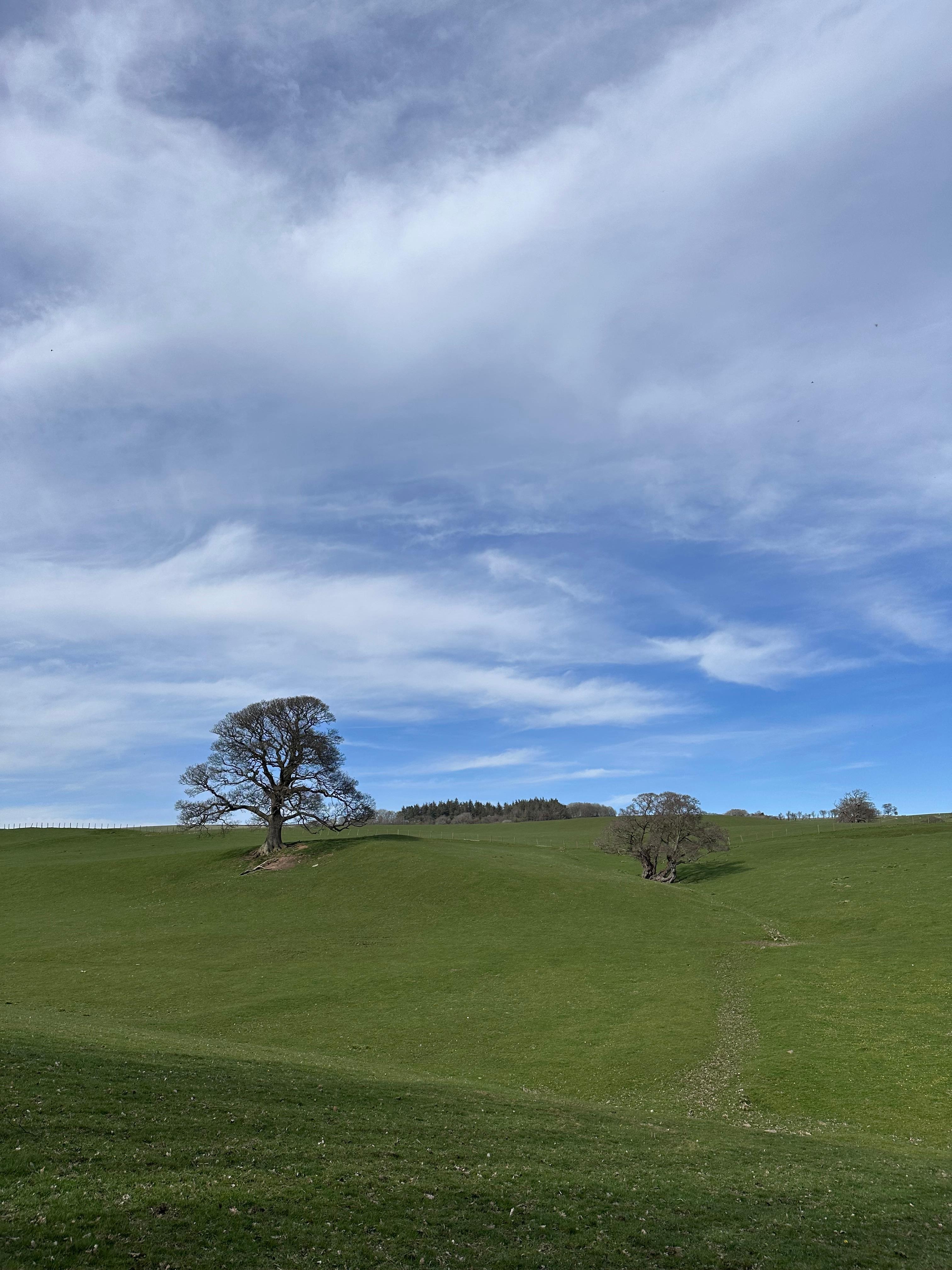 Cotherstone>Barnard Castle, East bank of the Tees
