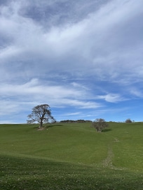 Cotherstone>Barnard Castle, East bank of the Tees