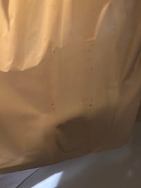 Shower curtain mold