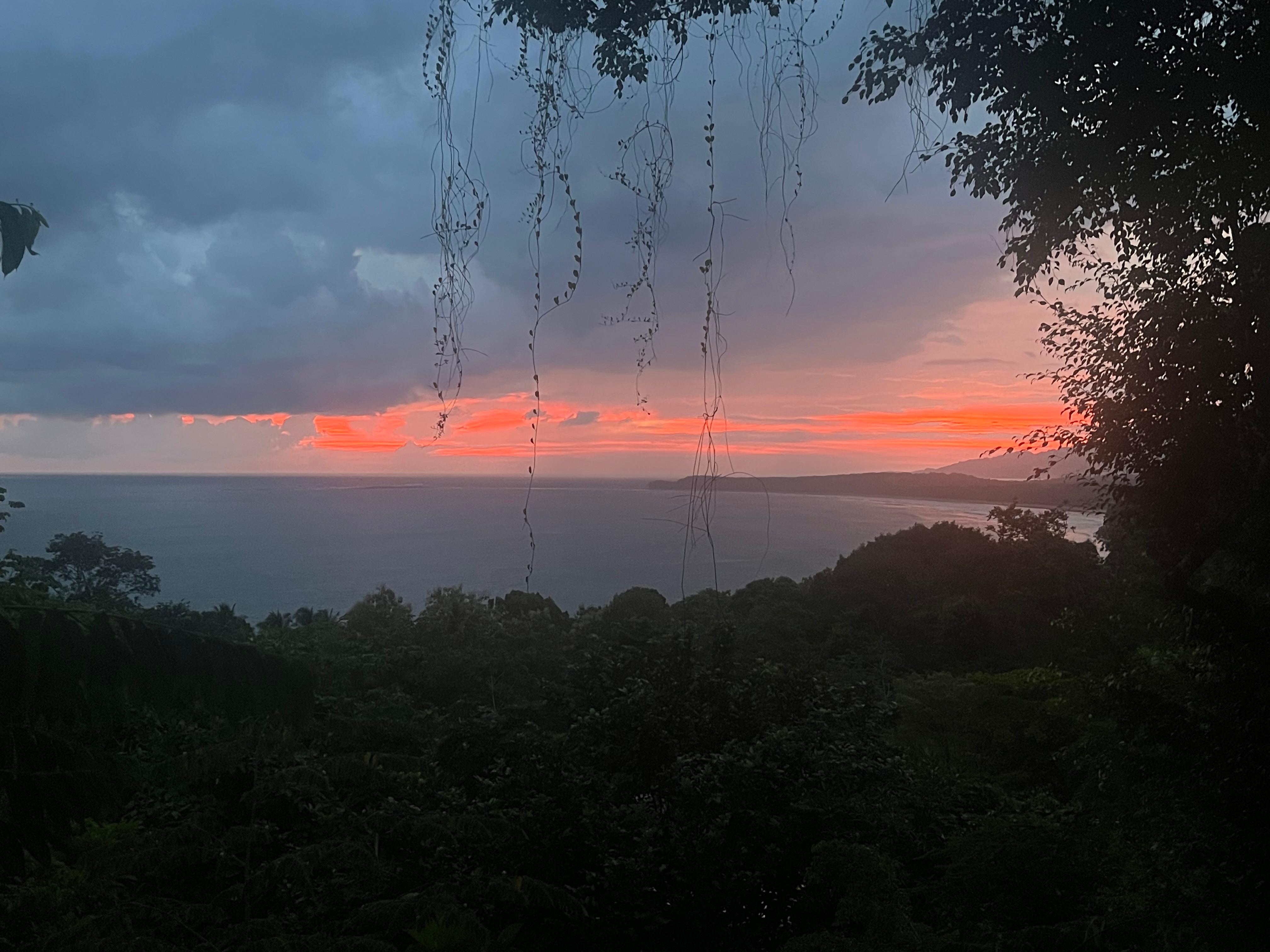 View from our room, Trogon