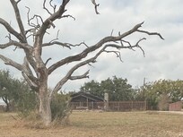 Secluded wooded property