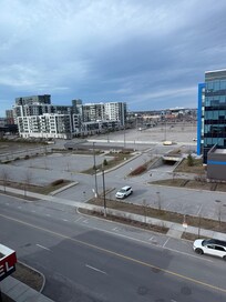 Outside my window