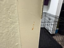 Blood on door frame.
