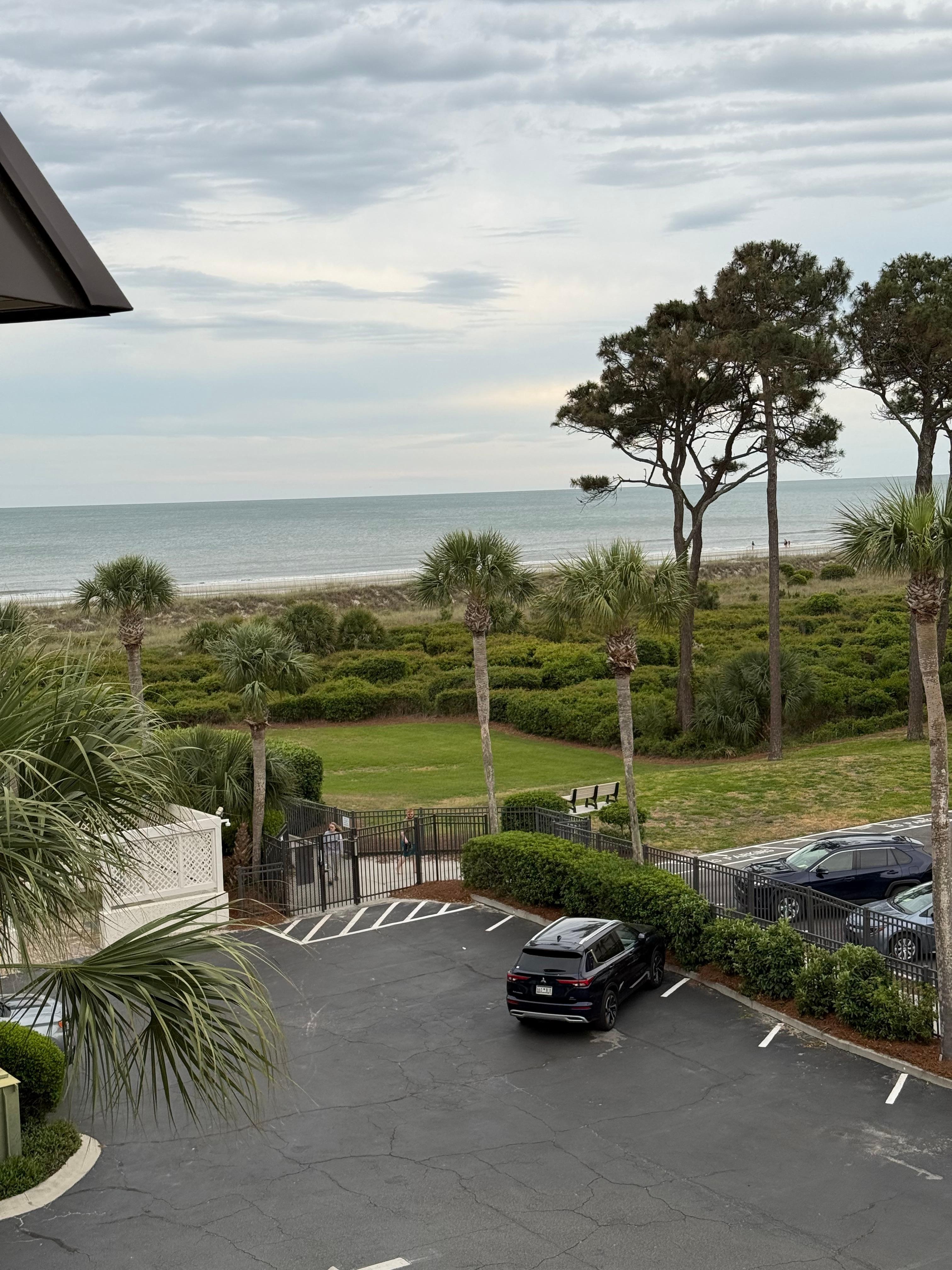 The view from the patio 