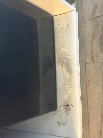 Mold infront of refrigerator
