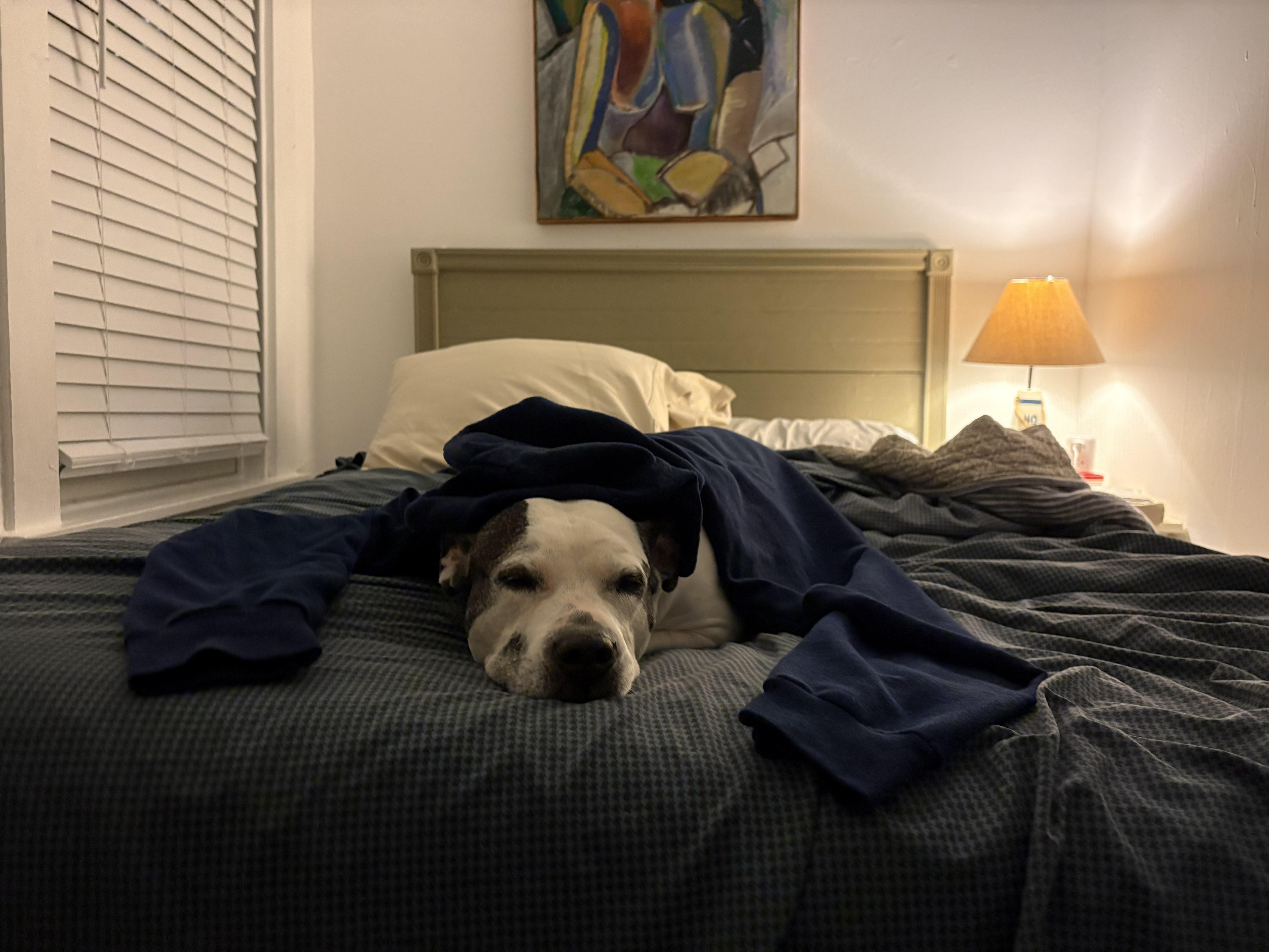 All the comforts of home.