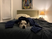 All the comforts of home.
