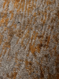 stained carpet. not sure what is growing in it