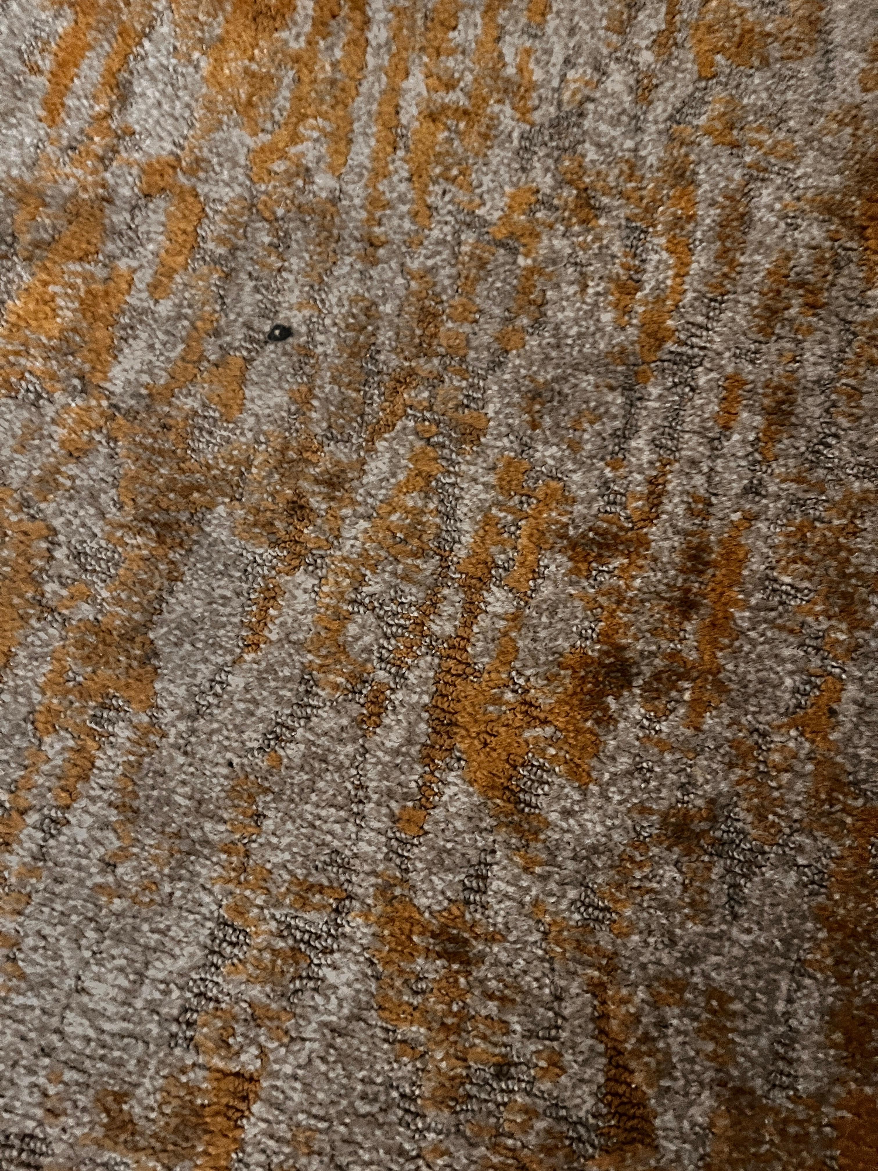 stained carpet. not sure what is growing in it