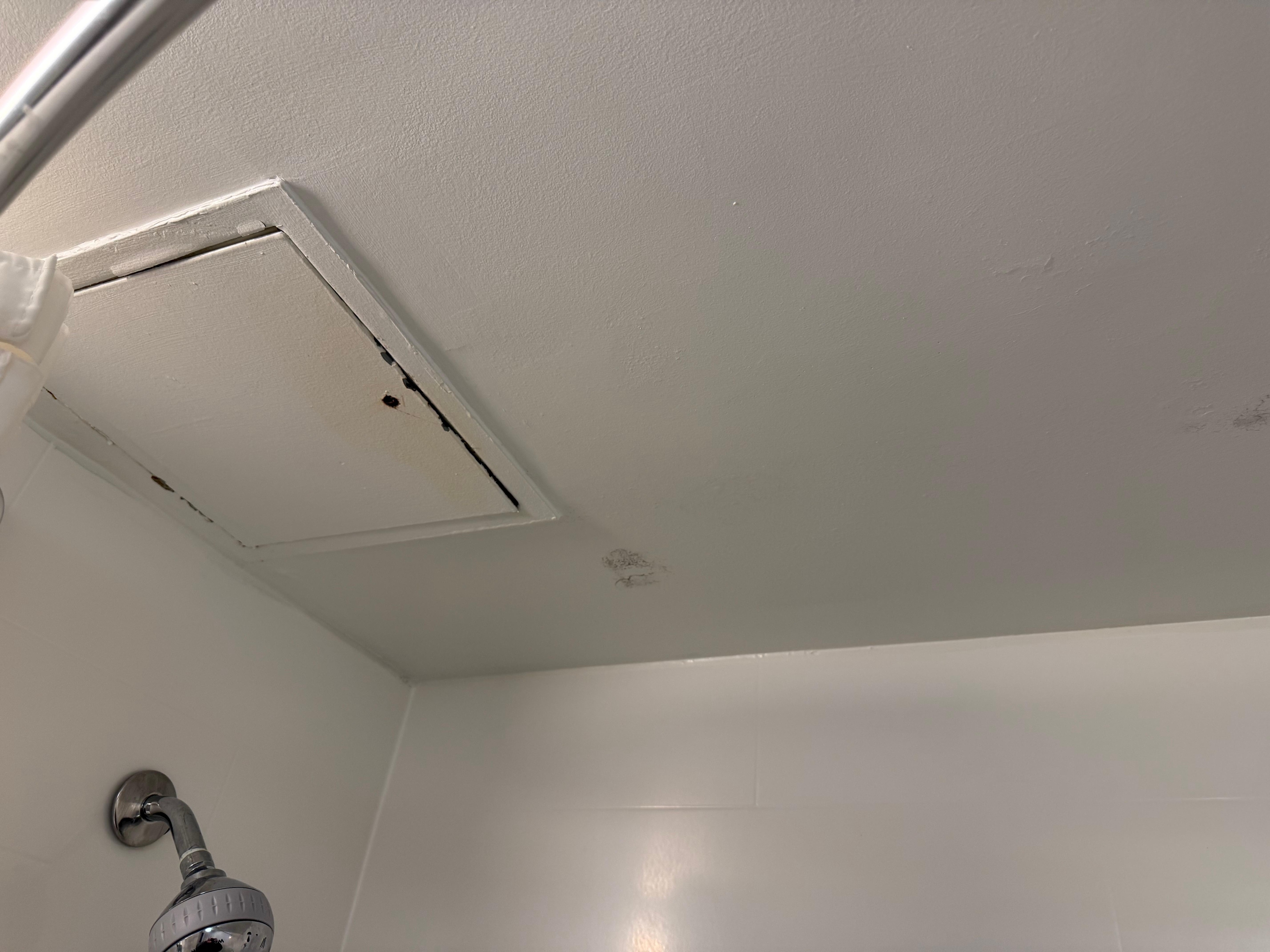 Stand/ mold in shower ceiling 