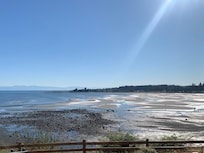 Beach view #1