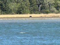 The bear!