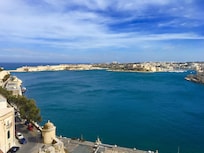 The view