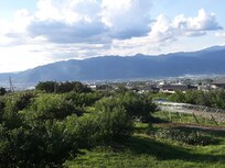 View from hotel