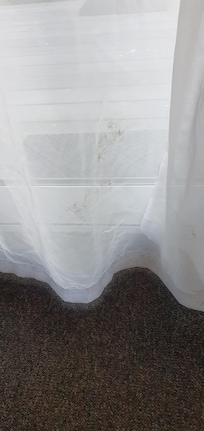 The dirty net curtain.