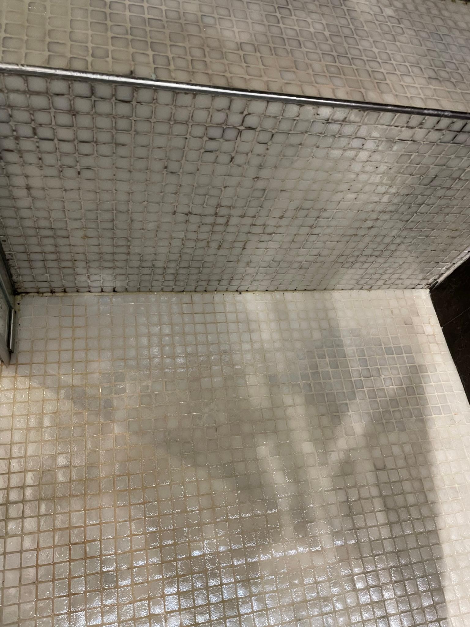 Moldy shower