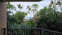 View from lanai