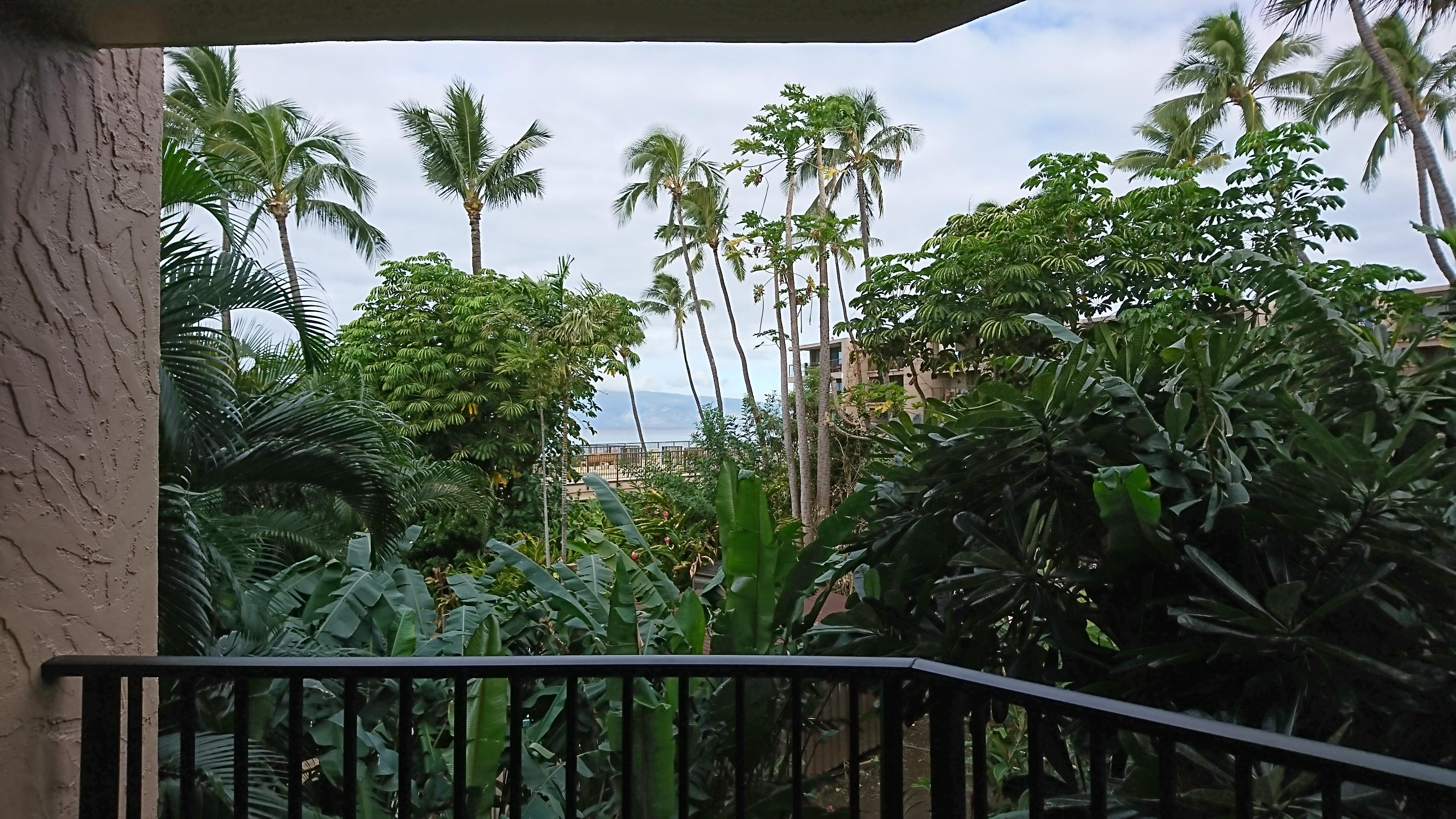 View from lanai