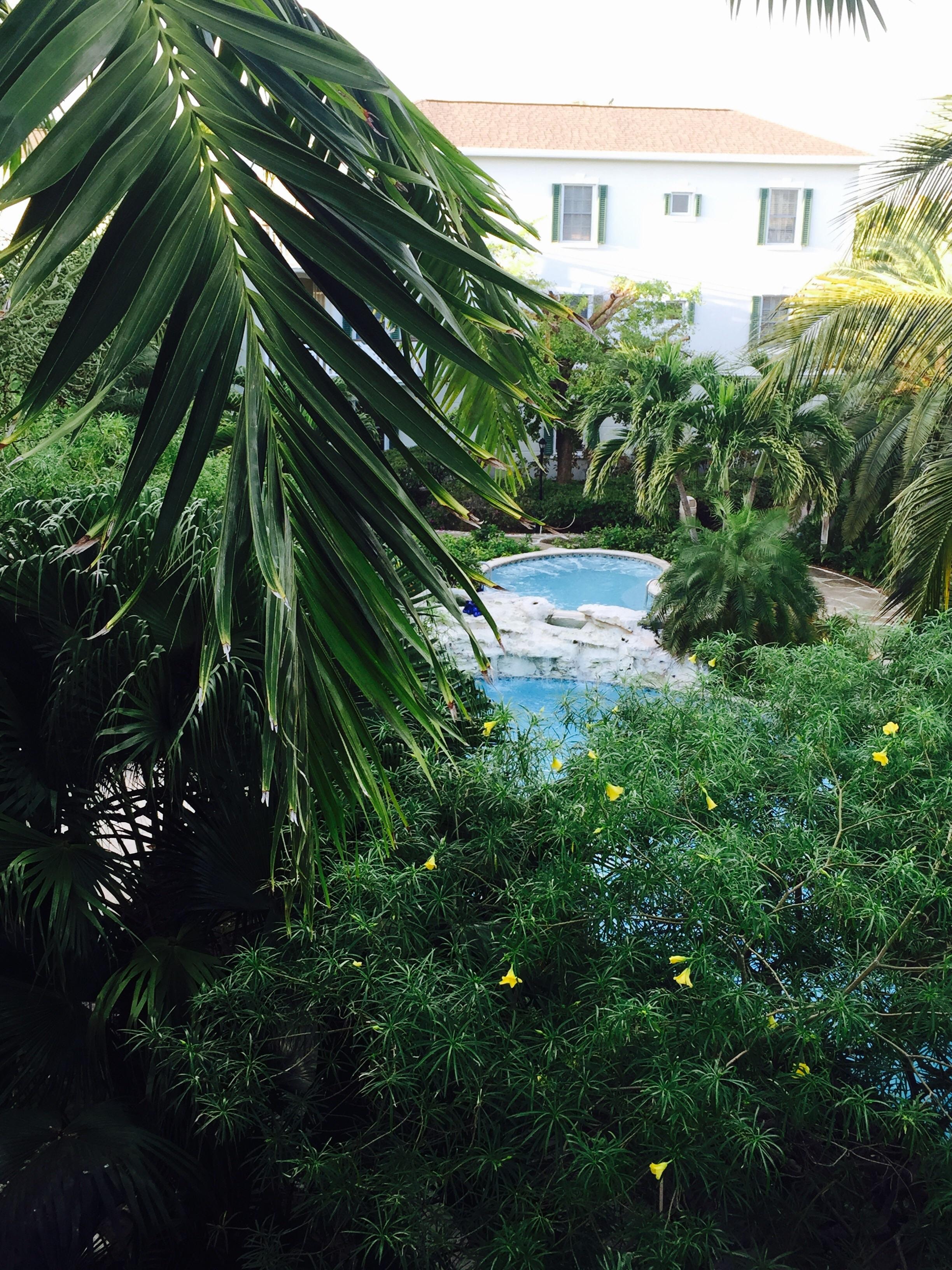 A garden Paradise!