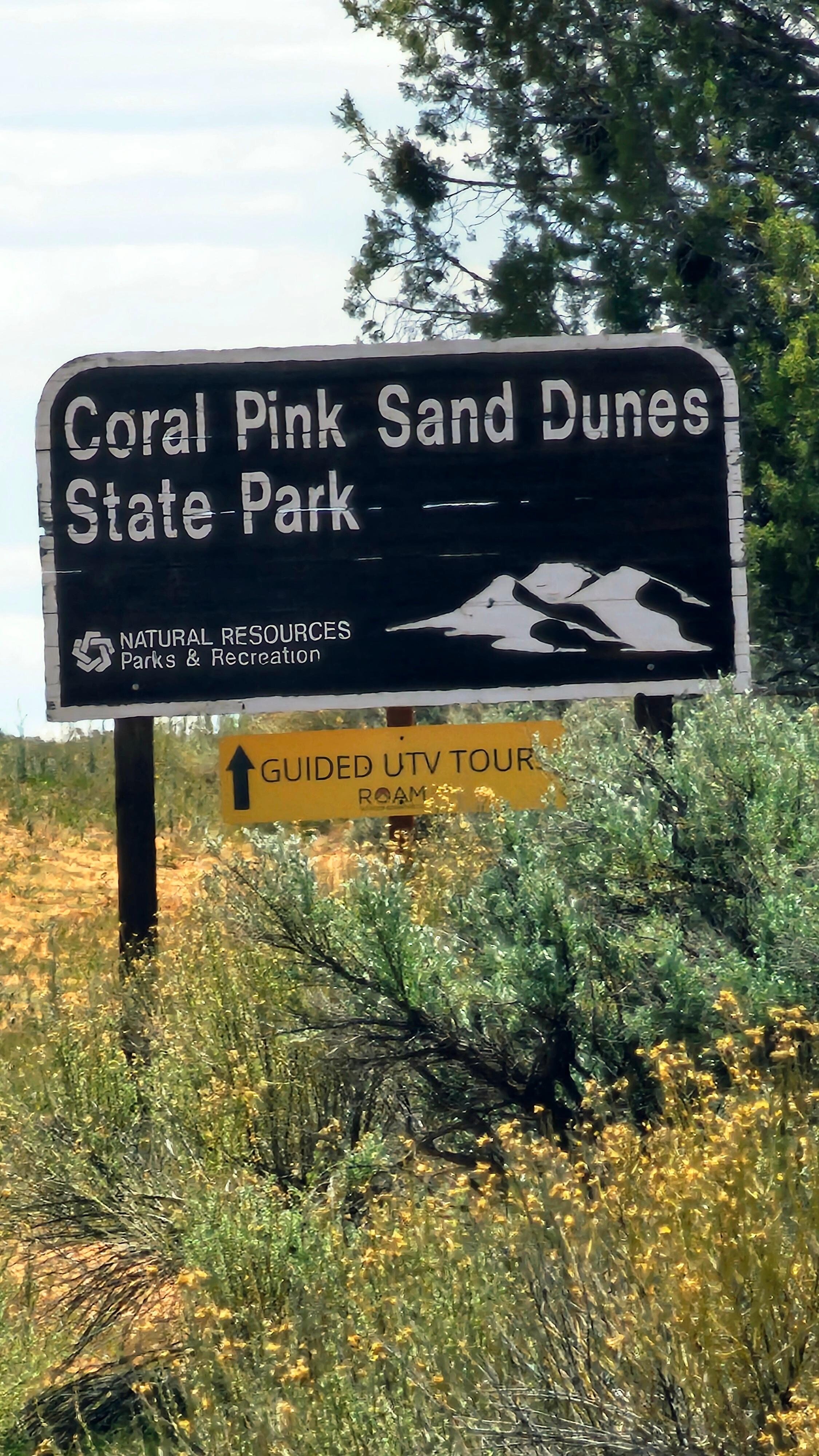Pink Sand Dunes - utv & sand sledding 