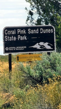 Pink Sand Dunes - utv & sand sledding