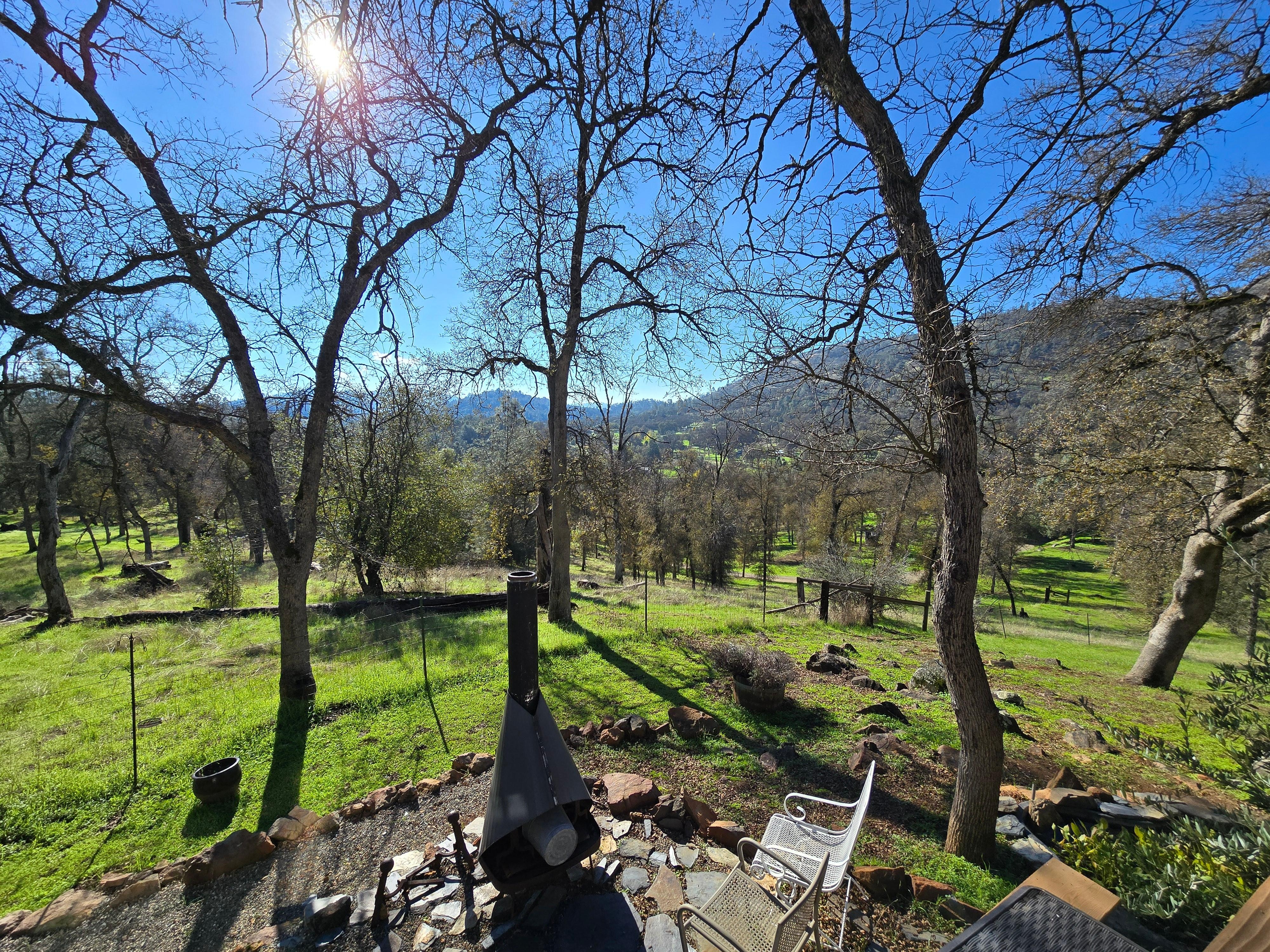 View from the backyard porch