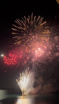 Feu d'artifice vu de la terrasse
