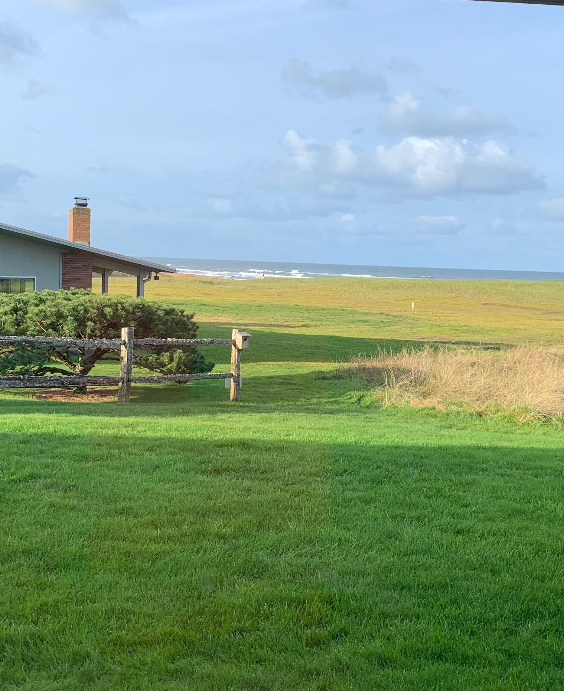 View from the patio early morning