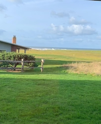 View from the patio early morning