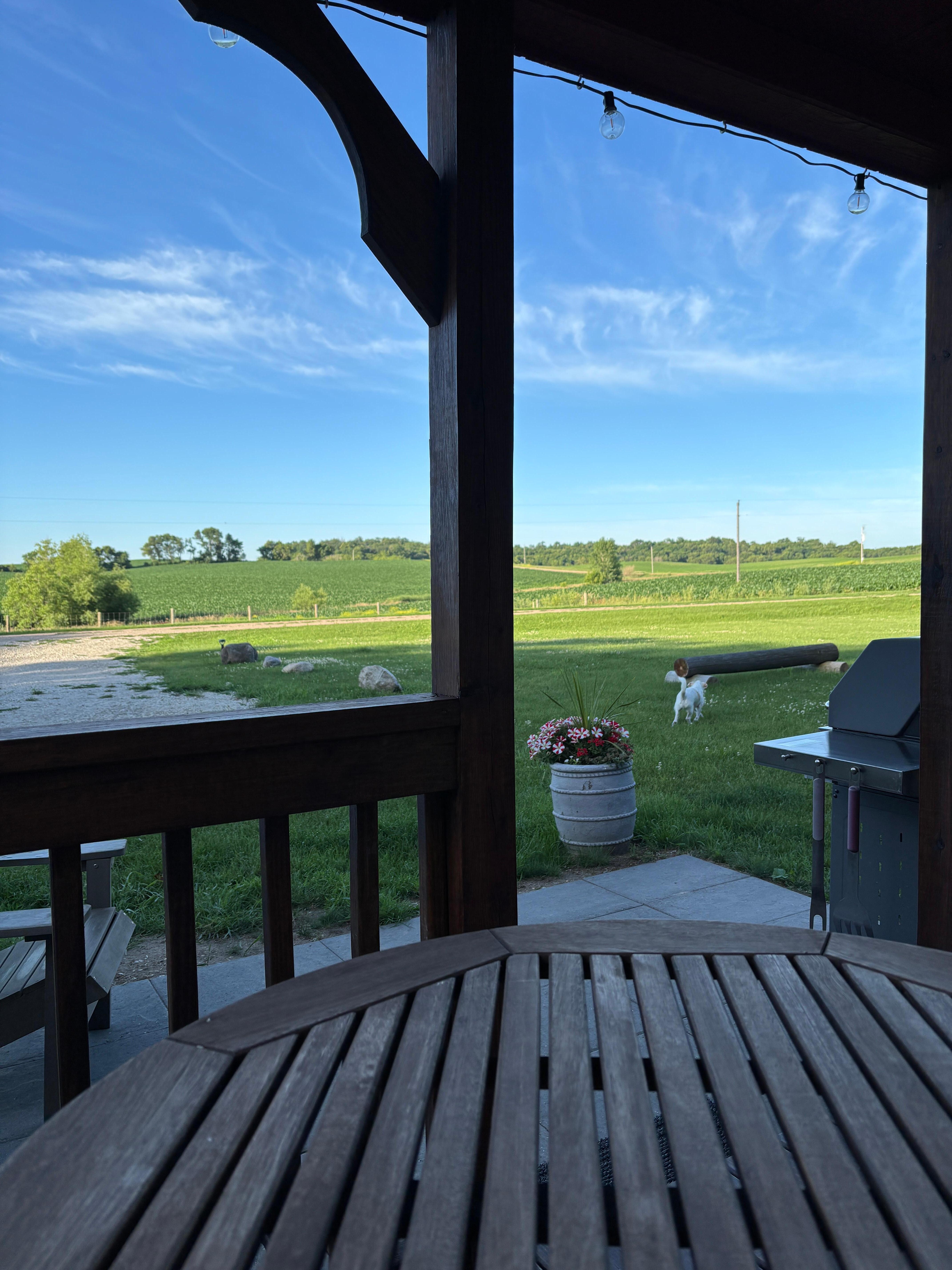 View from front porch.