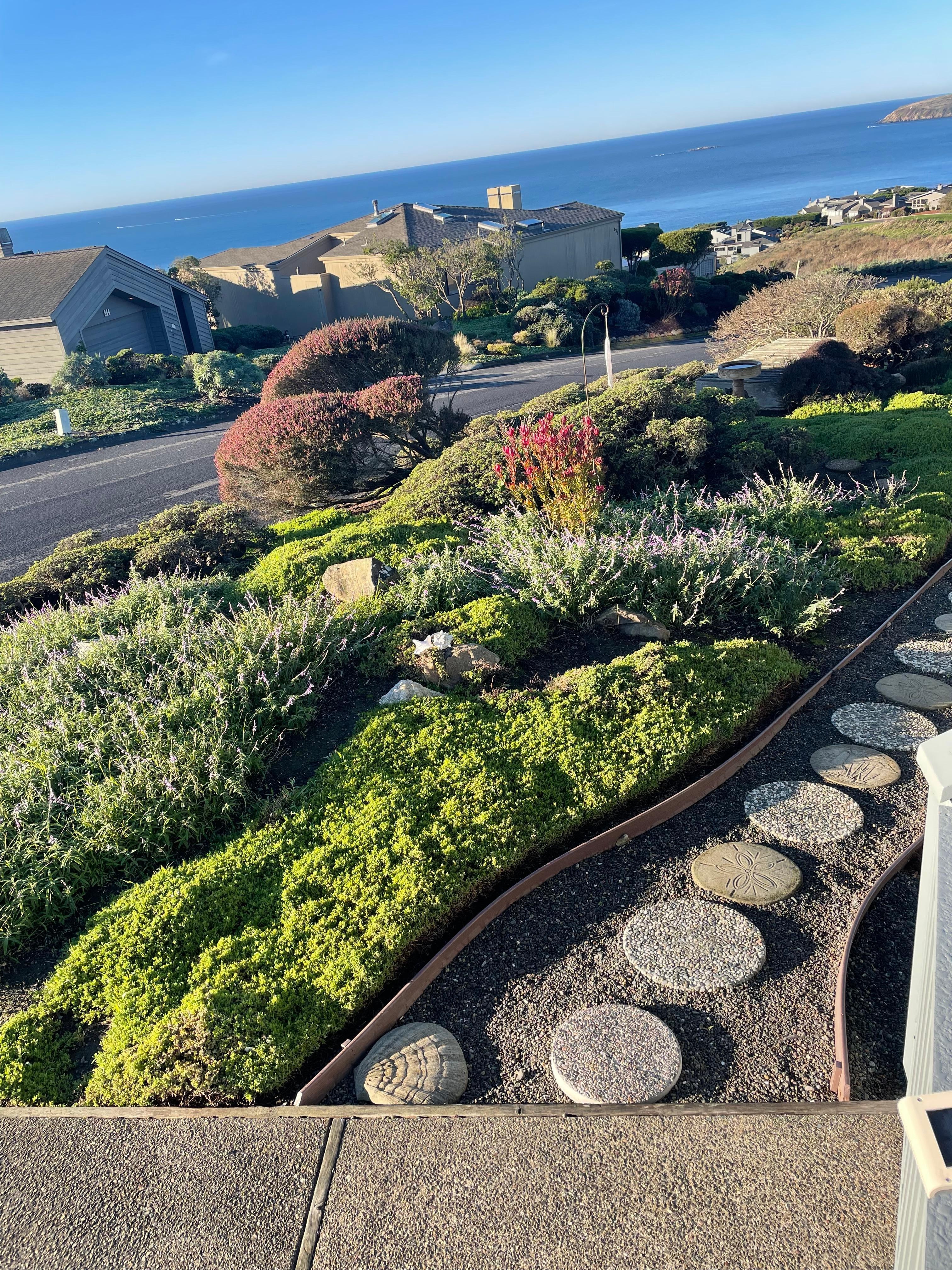 Gorgeous front yard and view